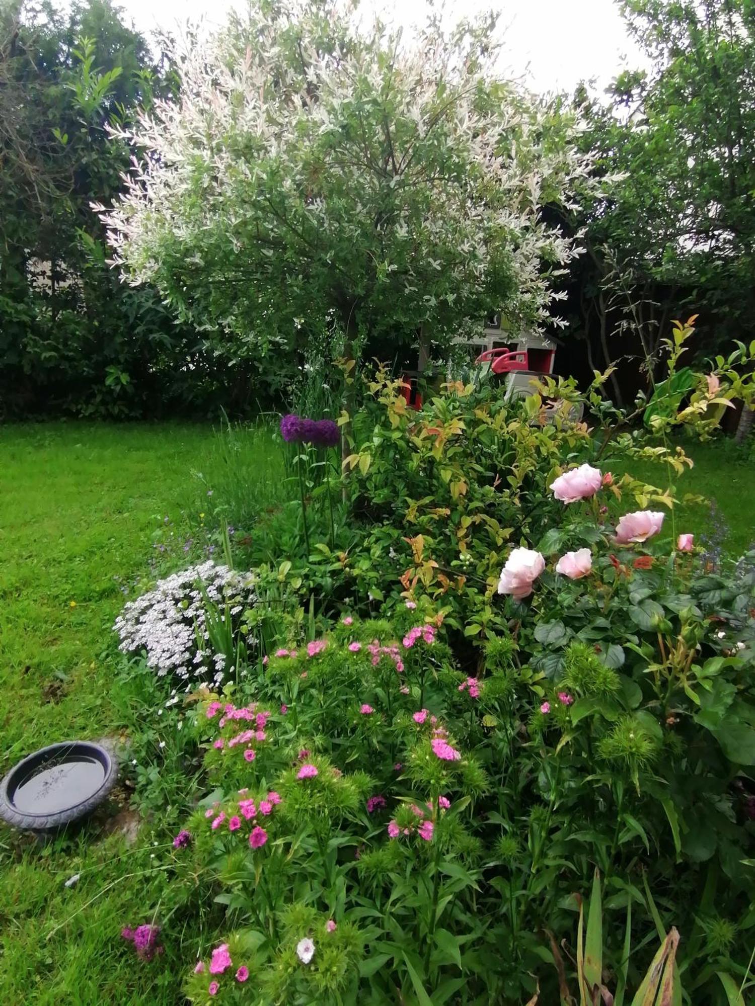 Séjour chez l'habitant Avec Petit Dejeuner Moussy-le-Vieux