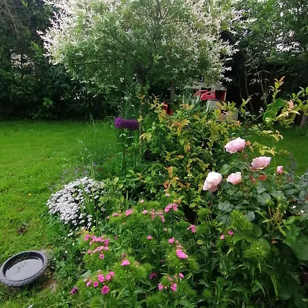 Chambre Chez L Habitant Avec Petit Dejeuner Moussy-le-Vieux Esterno foto